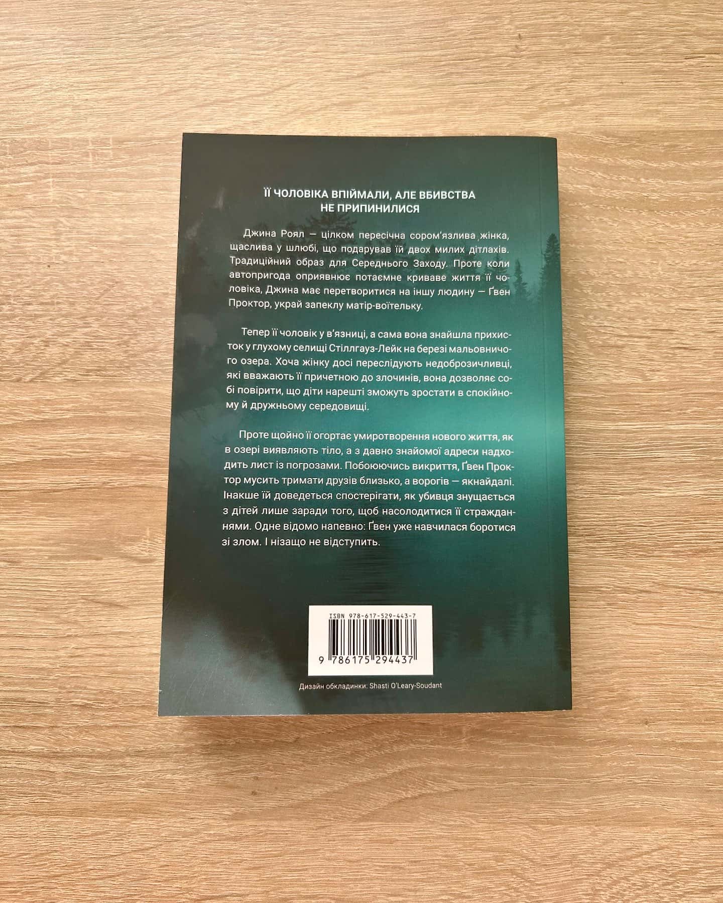Книга Озеро спокою — Рейчел Кейн