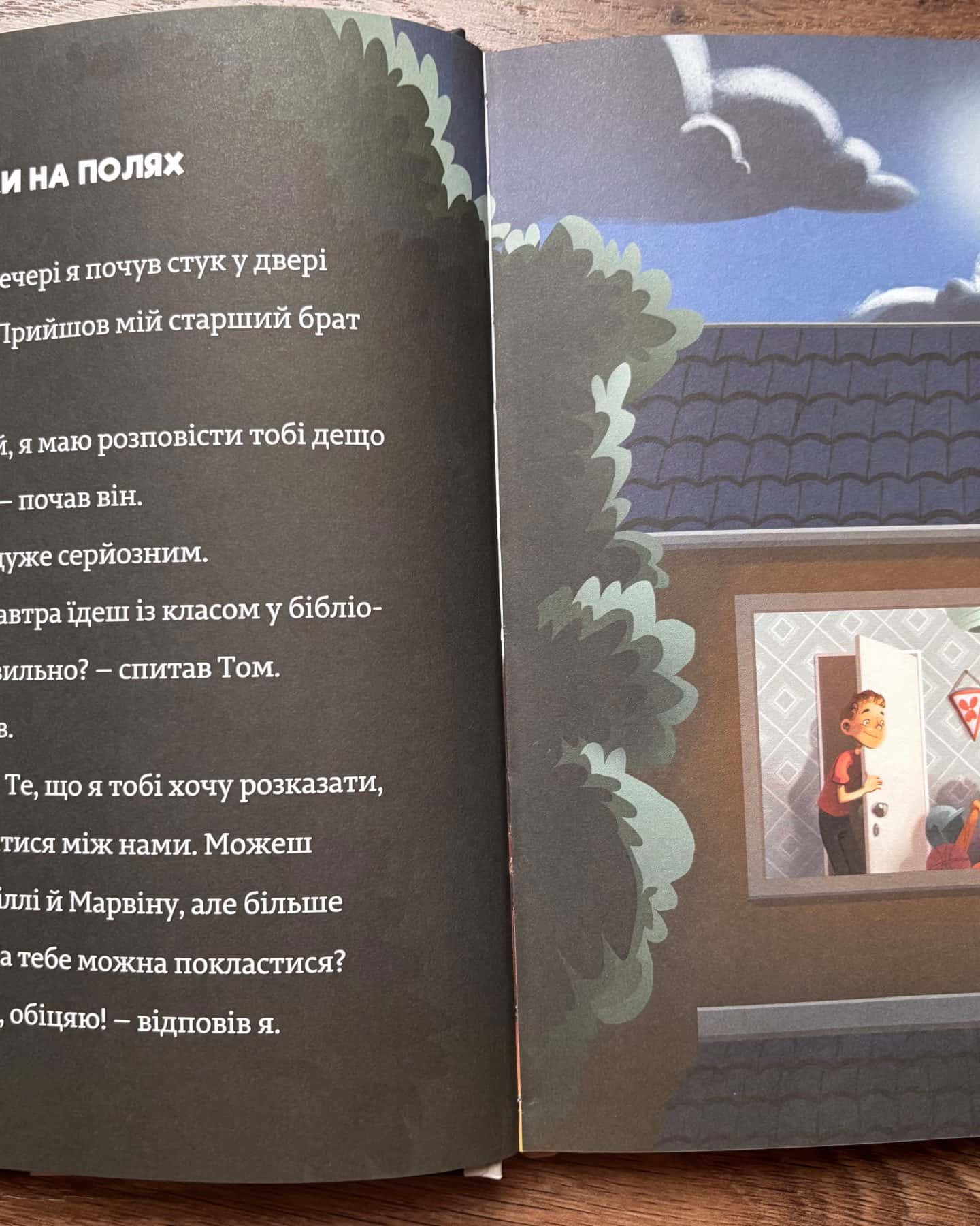 Родинна таємниця. Загублене намисто. Тінь і золота кімната. Різдвяне чудо — Тіммі Тоббсон