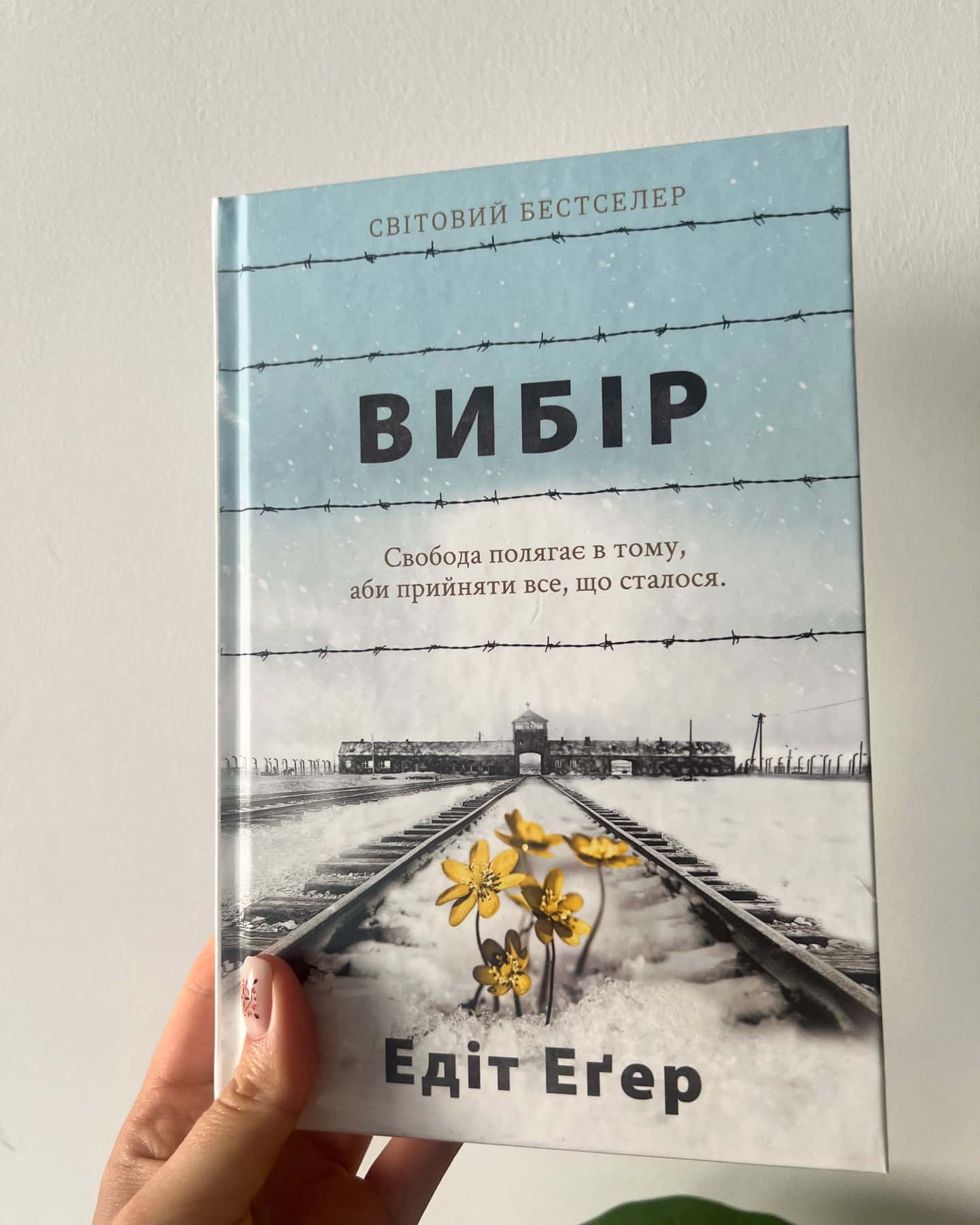 Вибір. Прийняти можливе — Едіт Єва Еґер