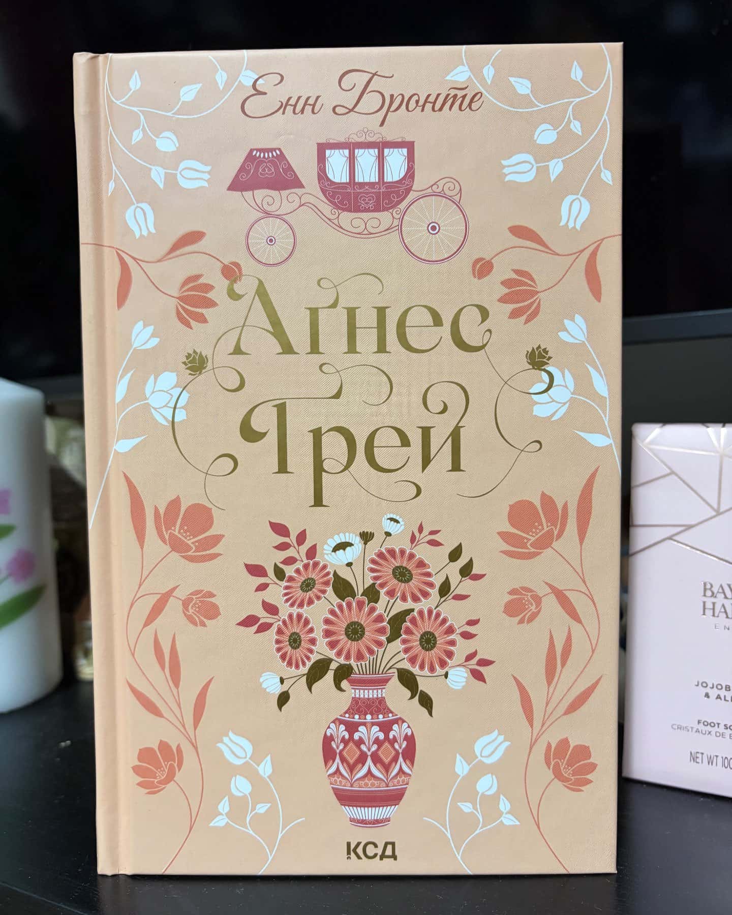 Аґнес Ґрей — Енн Бронте