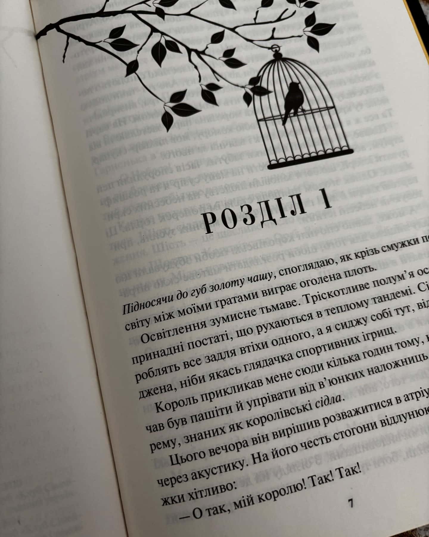 Блиск. Книга 1 — Рейвен Кеннеді
