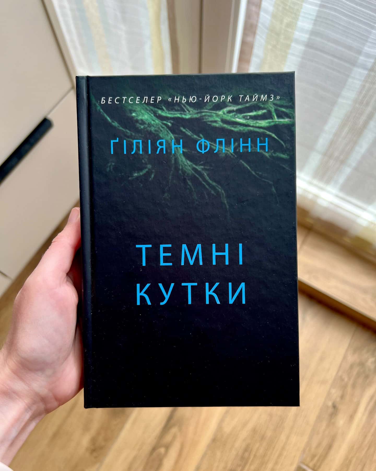 Темні кутки — Ґіліян Флінн