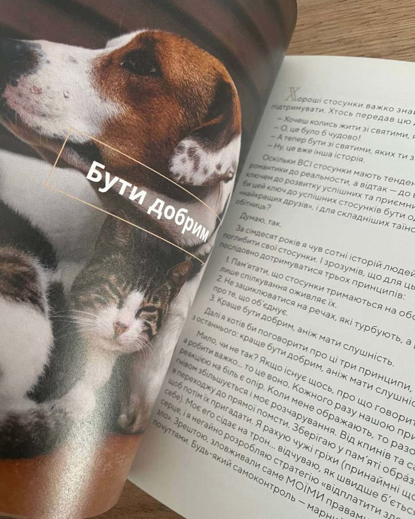 Сіль і життя — Ренді Маршал