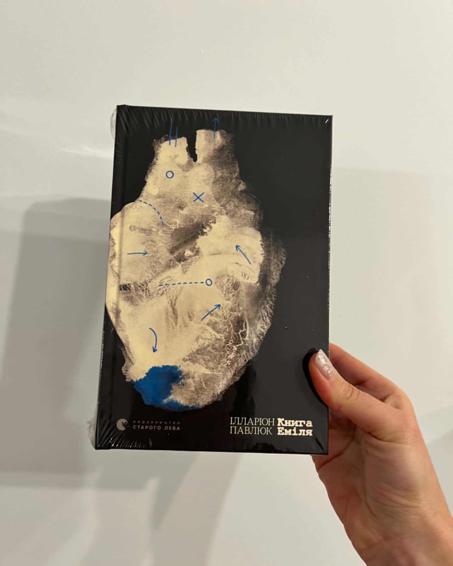 Книга Еміля — Ілларіон Павлюк