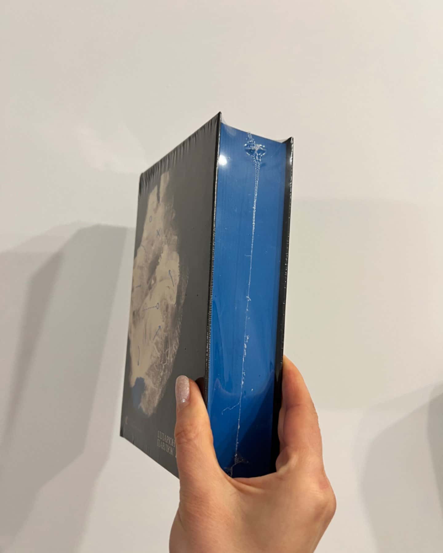 Книга Еміля — Ілларіон Павлюк