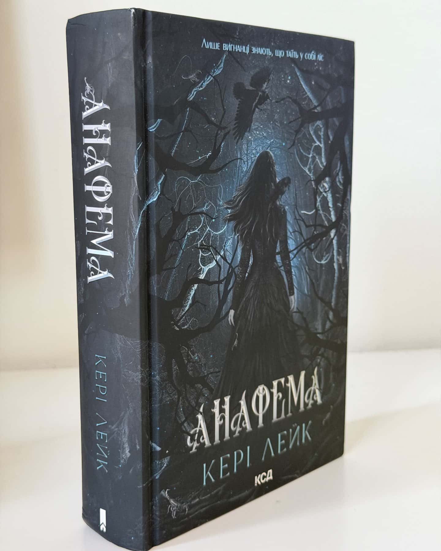 Анафема. Книга 1 — Кері Лейк