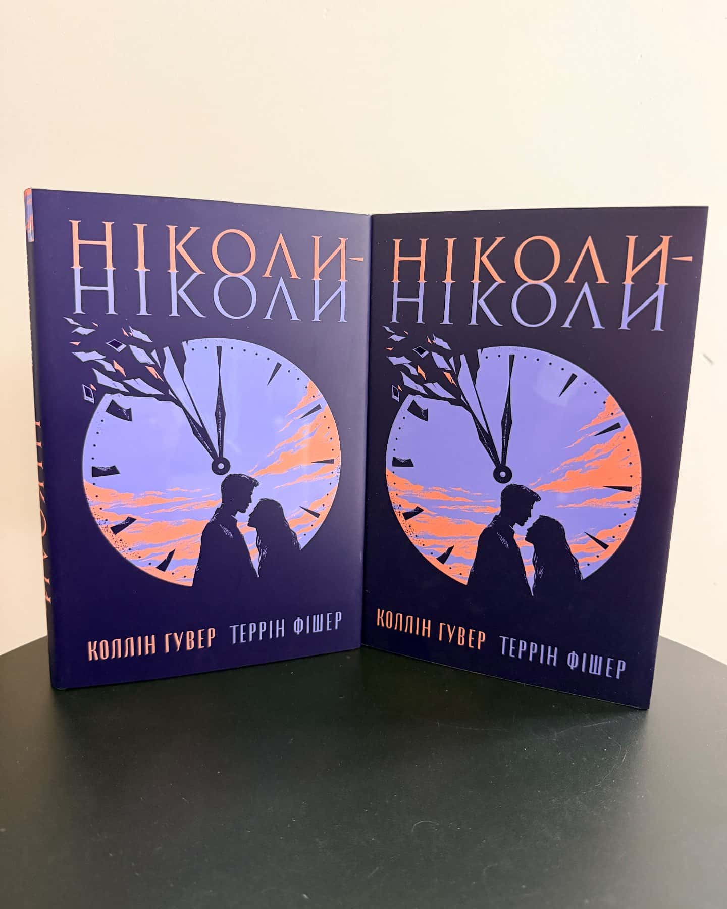 Ніколи-ніколи — Коллін Гувер, Террін Фішер