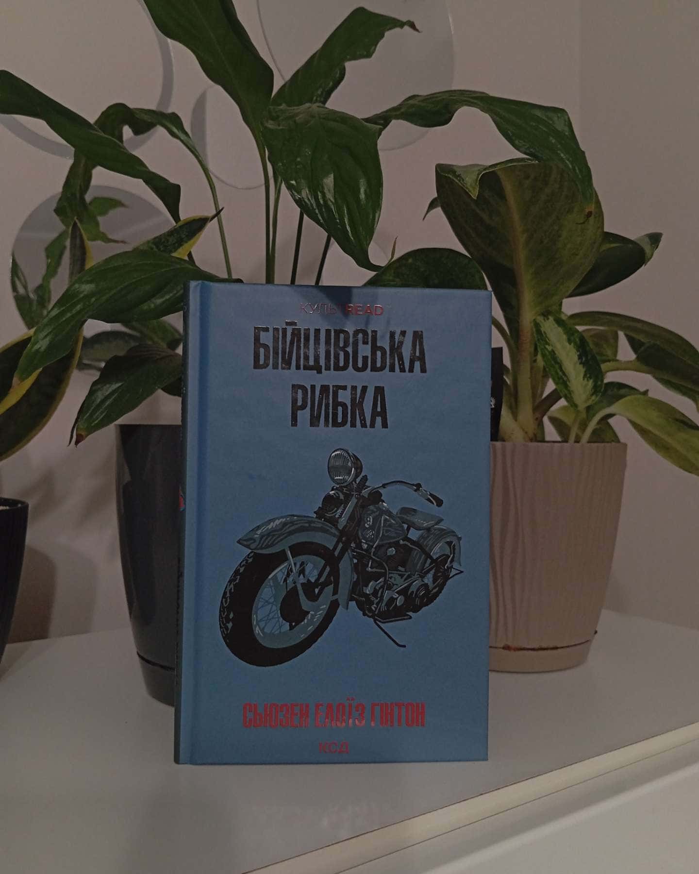 Бійцівська рибка — Сьюзен Елоїз Гінтон