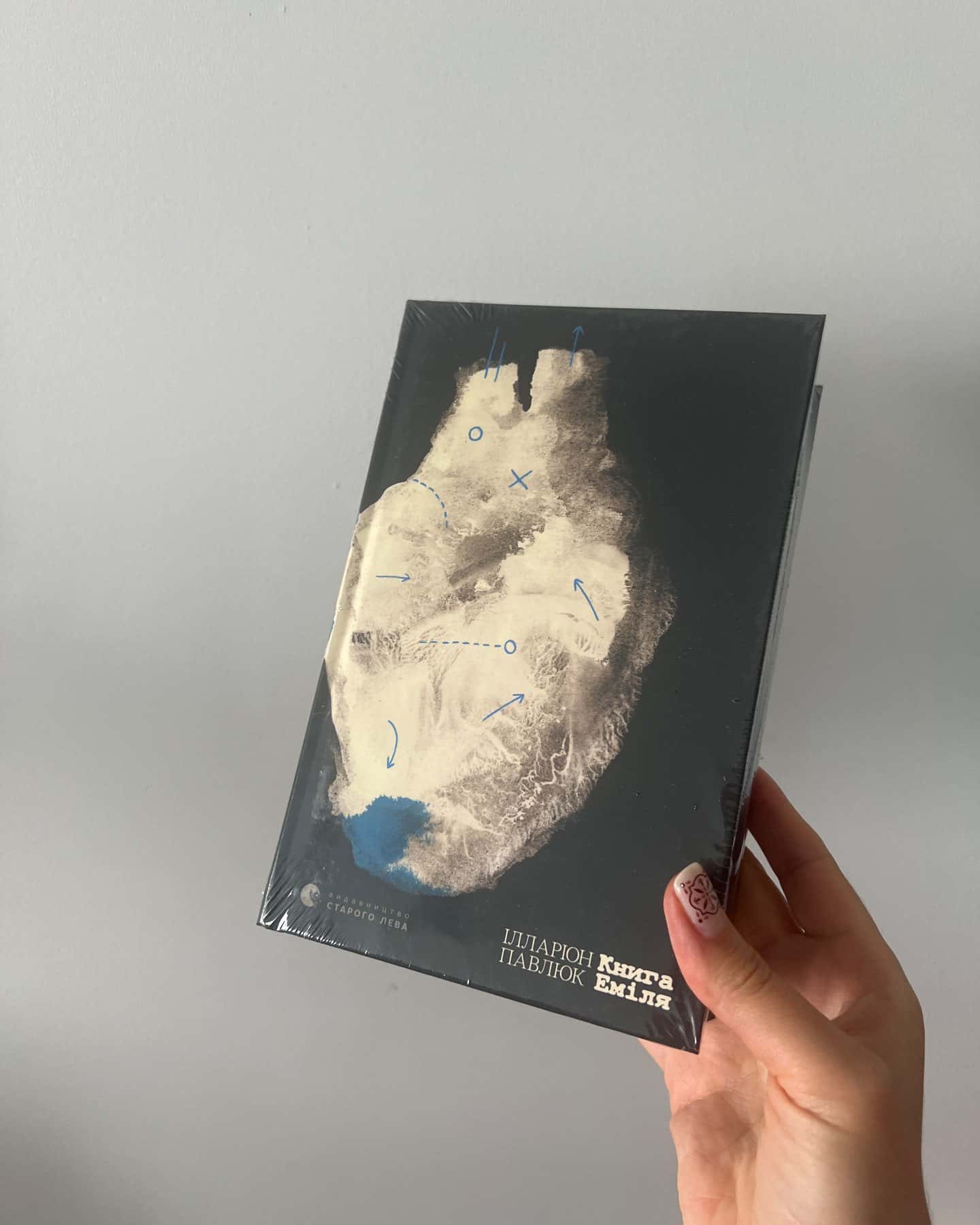 Книга Еміля — Ілларіон Павлюк