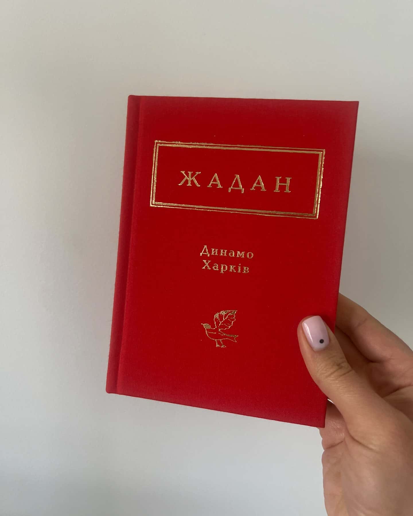 Динамо Харків — Сергій Жадан