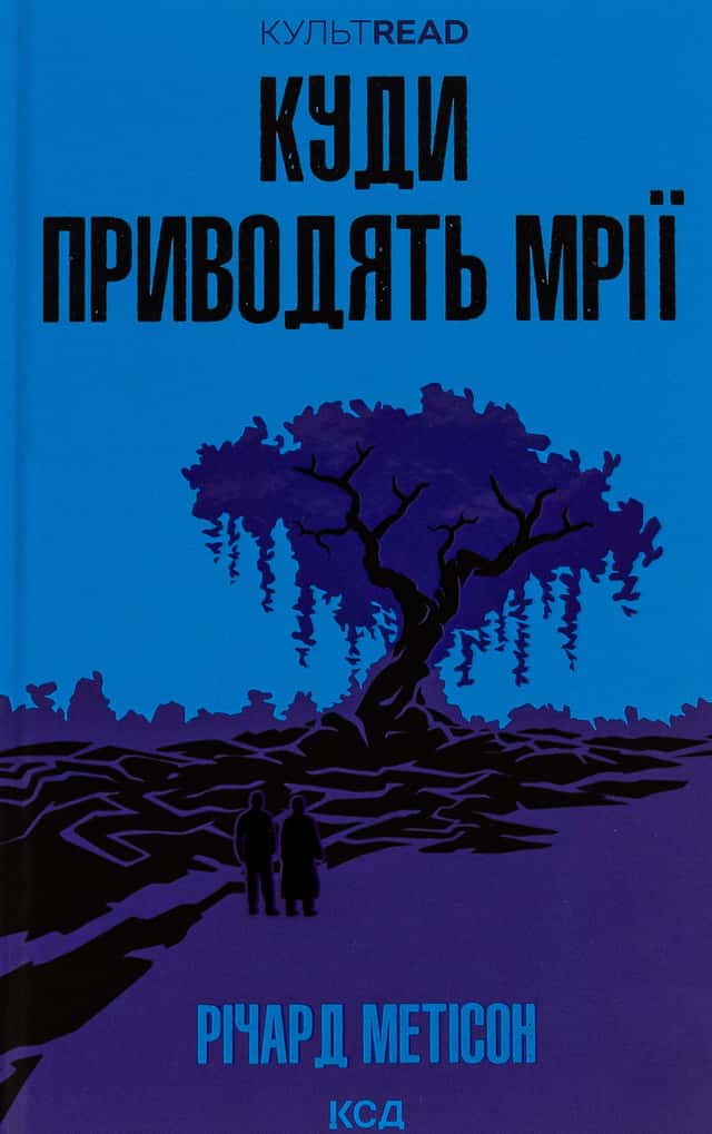 Куди приводять мрії — Річард Метісон