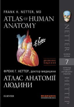 Атлас анатомії людини. Atlas of Human Anatomy — Френк Неттер