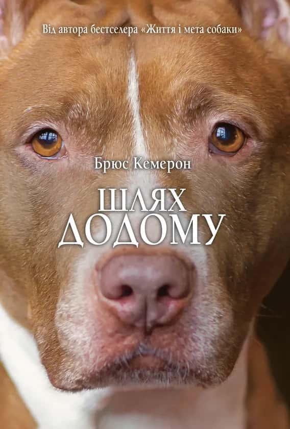 Обкладинка книги «Шлях додому» — Брюс Кемерон