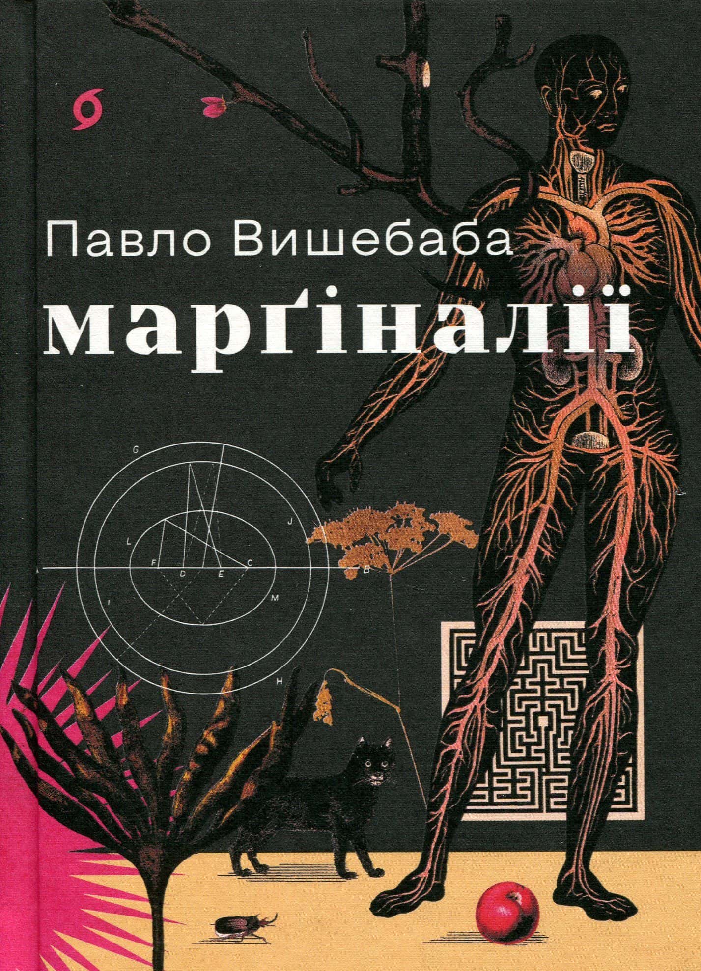 Обкладинка книги «Марґіналії» — Павло Вишебаба